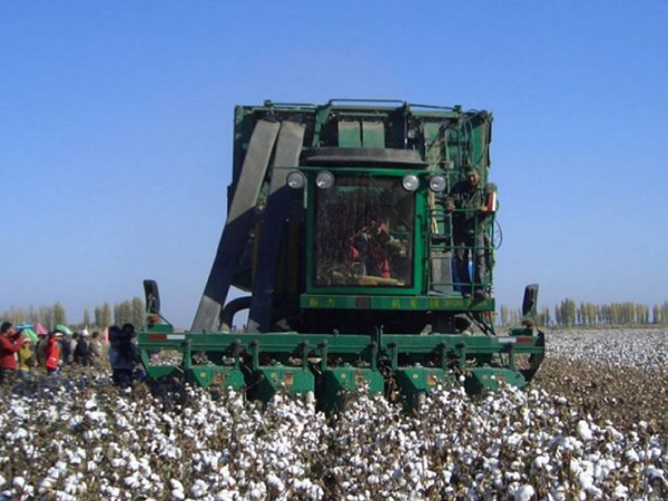 New 4MZ-6 Cotton Combine Harvester