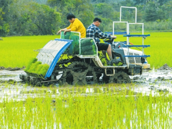 Convene the On-Site Promotion Meeting for Rice Transplanter in 2025