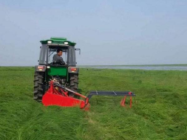 mower(1)