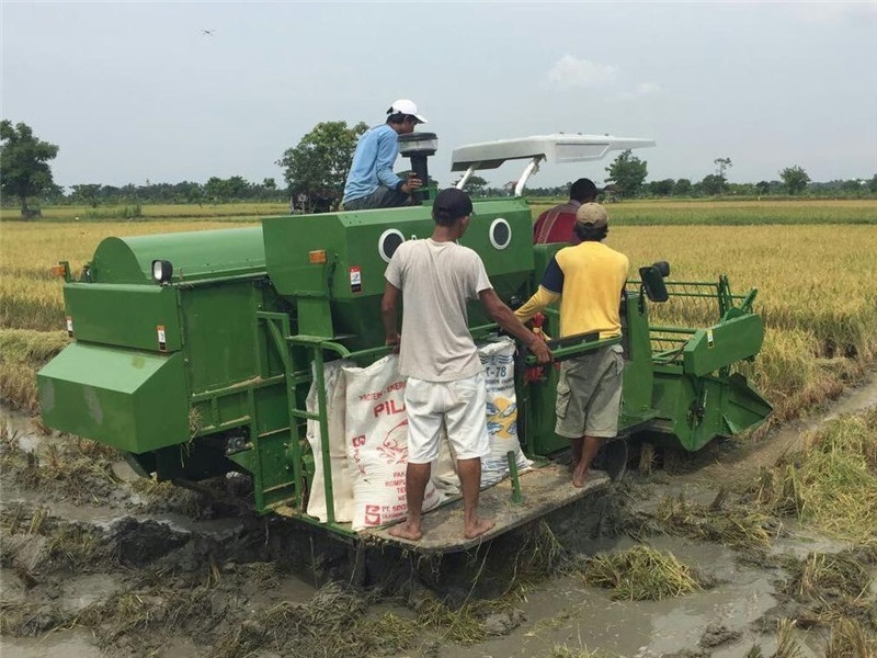 Focus On Improving The Level Of Mechanized Rice Planting