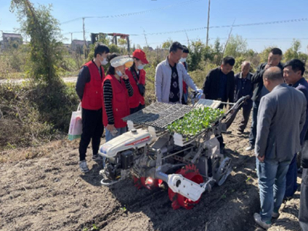 Vegetable Transplanting Mechanization