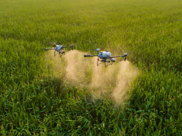 Drone Defense Operations on Potato Full Mechanization 