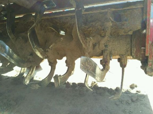 rotary tiller(12)