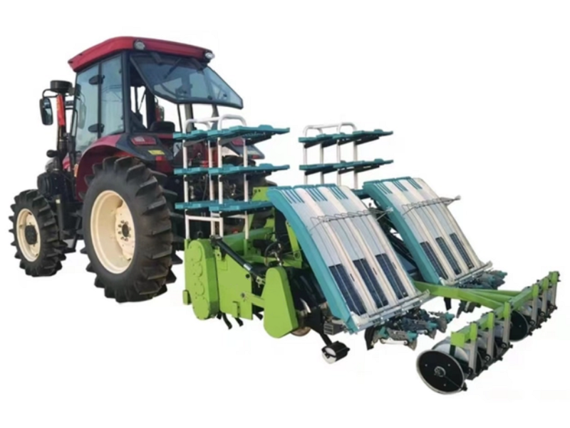 New Breakthrough in Rapeseed Blanket Seedling Transplanter