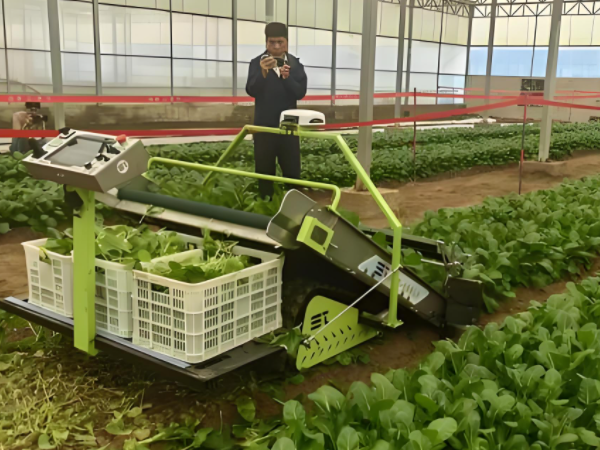 National Vegetable Mechanization