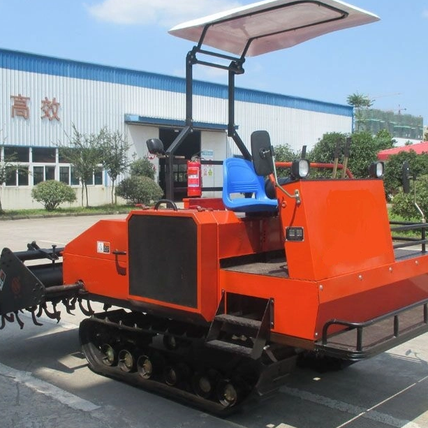 Irrigation Areas are Fully Committed to Safeguarding Spring Plowing