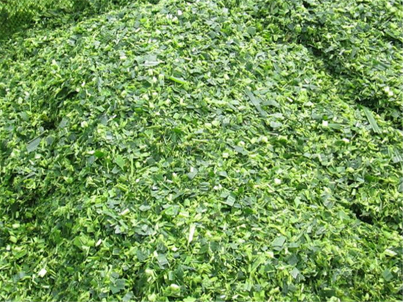 Harvest Machinery Business Northeast Market Kick-off Meeting Held