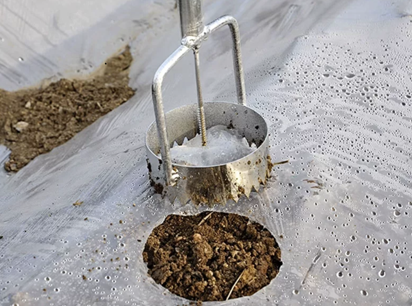 hole digger(5)