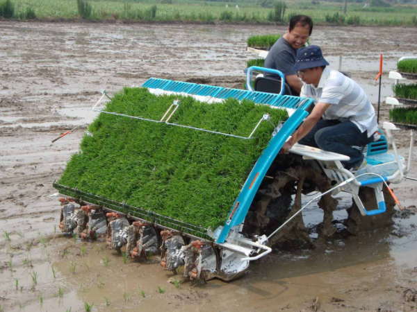 Rice Transplanter Promotion