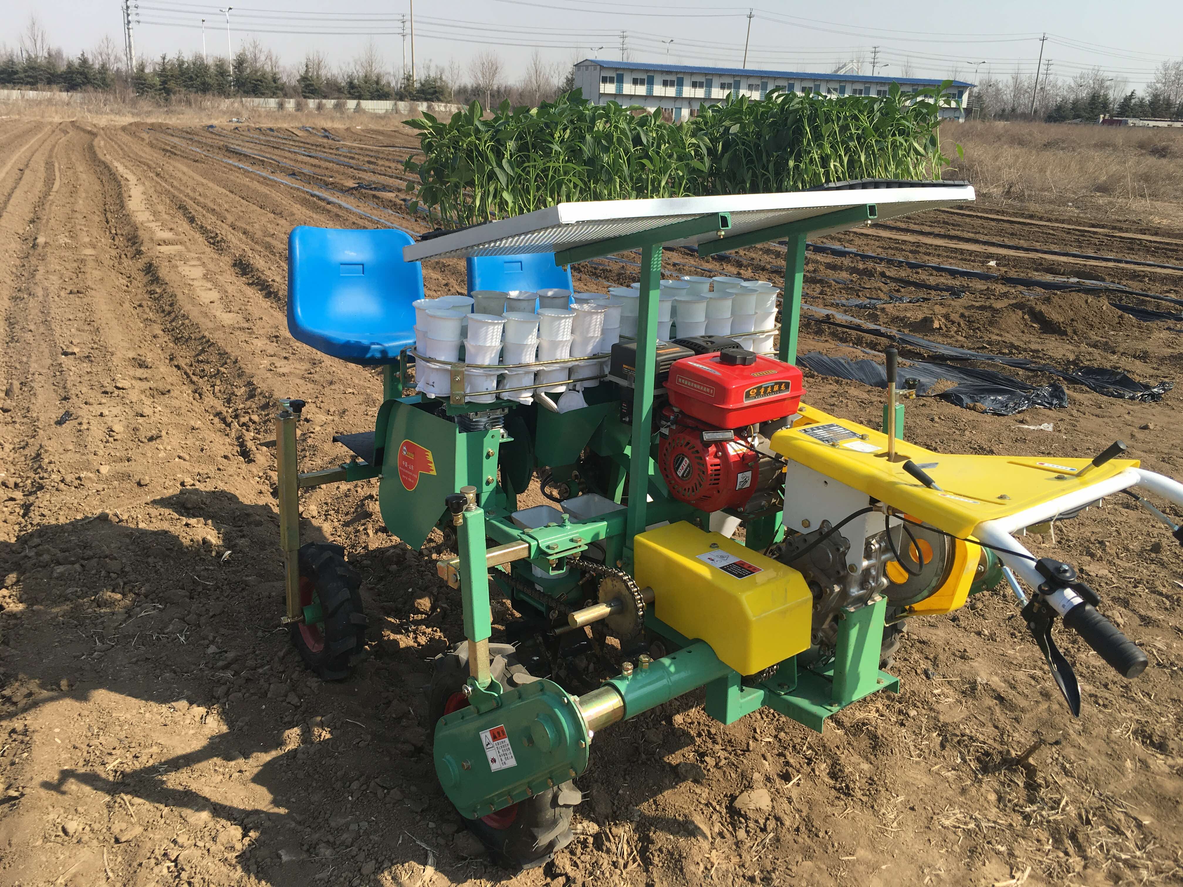 Injecting New Momentum into the Cultivation of Traditional Chinese Medicine